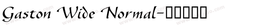 Gaston Wide Normal字体转换
